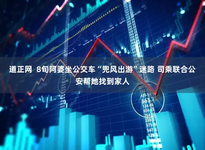 道正网  8旬阿婆坐公交车“兜风出游”迷路 司乘联合公安帮她找到家人