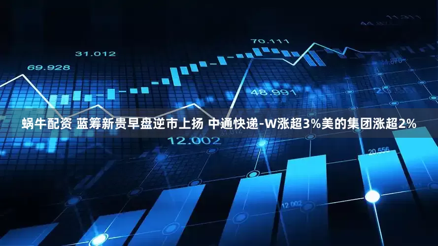 蜗牛配资 蓝筹新贵早盘逆市上扬 中通快递-W涨超3%美的集团涨超2%