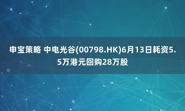 申宝策略 中电光谷(00798.HK)6月13日耗资5.5万港元回购28万股