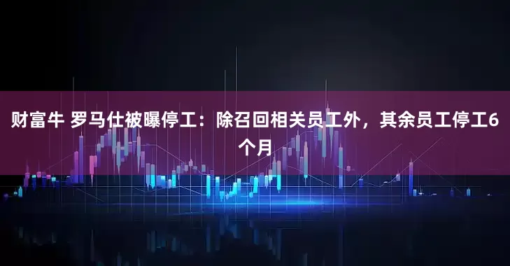 财富牛 罗马仕被曝停工：除召回相关员工外，其余员工停工6个月