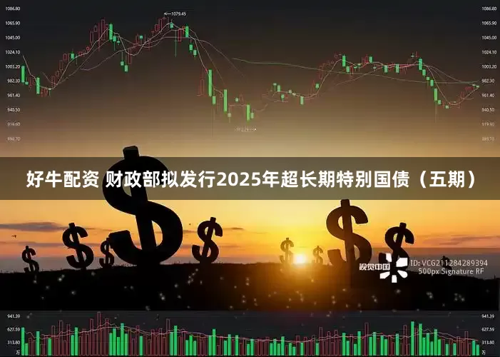 好牛配资 财政部拟发行2025年超长期特别国债（五期）