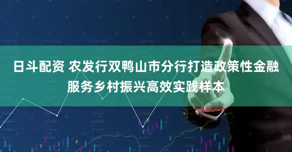 日斗配资 农发行双鸭山市分行打造政策性金融服务乡村振兴高效实践样本