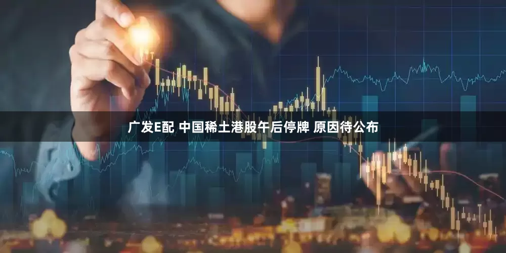 广发E配 中国稀土港股午后停牌 原因待公布