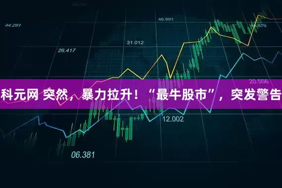 科元网 突然，暴力拉升！“最牛股市”，突发警告